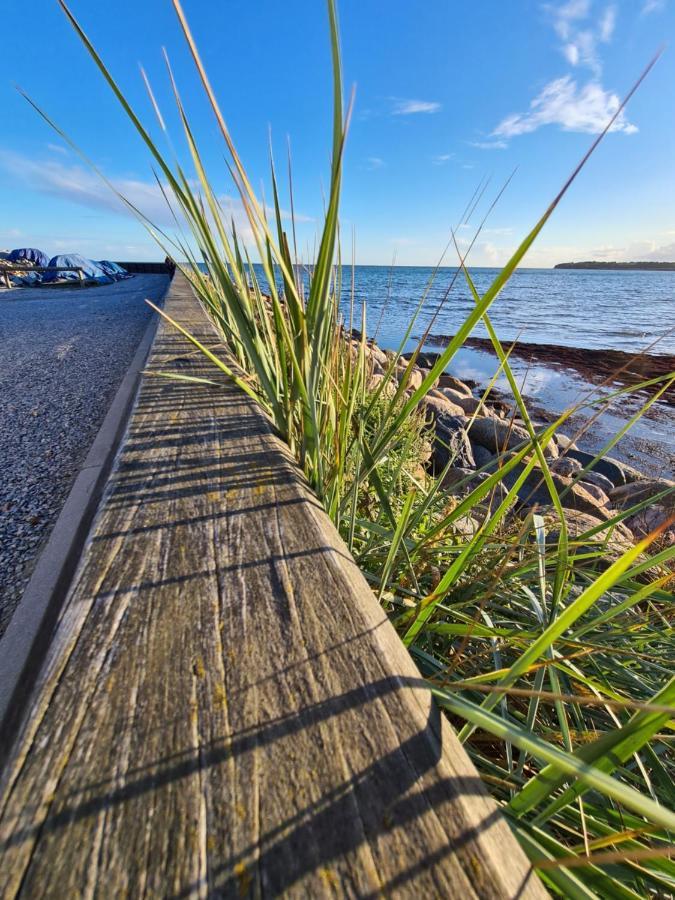 Danhostel Stevns Klint Store Heddinge Экстерьер фото