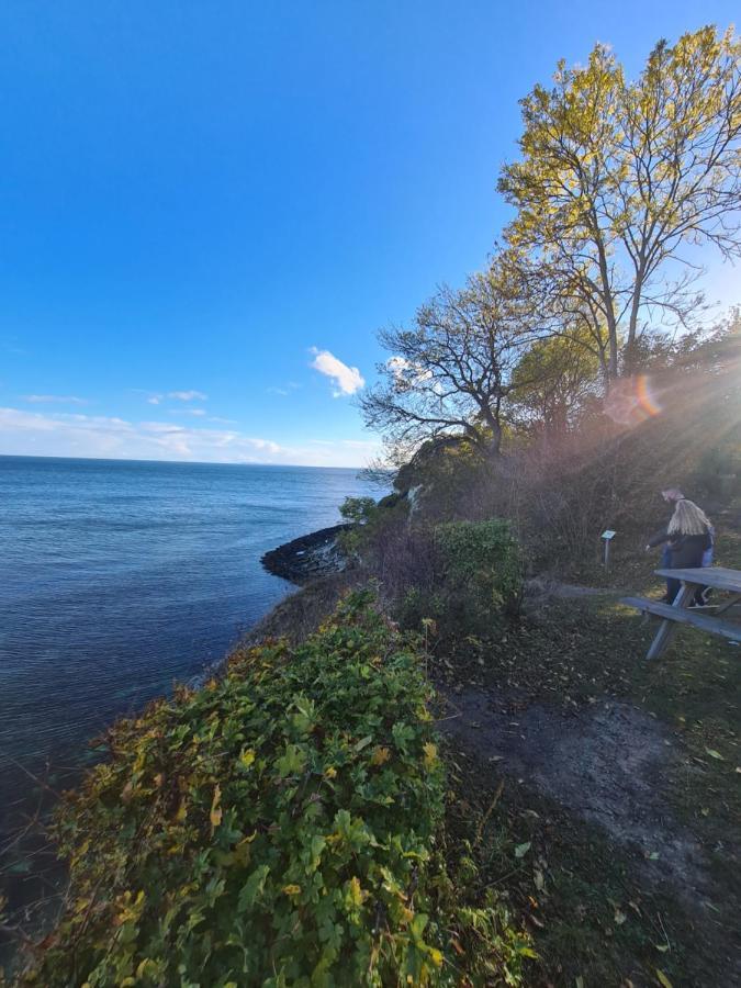 Danhostel Stevns Klint Store Heddinge Экстерьер фото